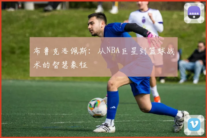布鲁克洛佩斯：从NBA巨星到篮球战术的智慧象征