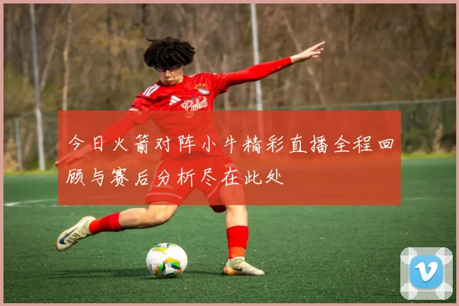 今日火箭对阵小牛精彩直播全程回顾与赛后分析尽在此处